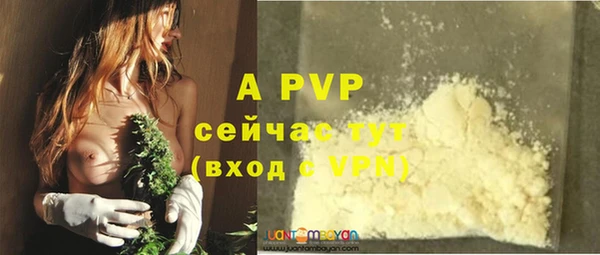 герыч Вяземский
