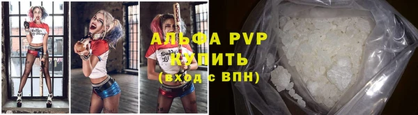 ПСИЛОЦИБИНОВЫЕ ГРИБЫ Вязники