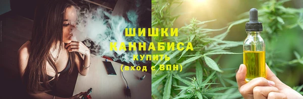 твердый Верхний Тагил
