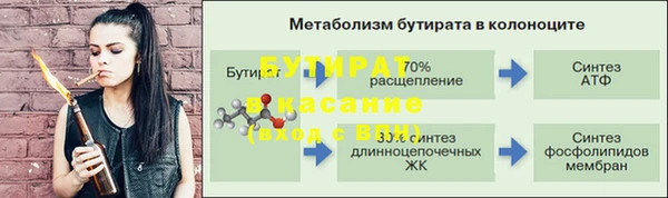 ПСИЛОЦИБИНОВЫЕ ГРИБЫ Вязники