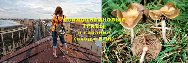 не бодяженный Верея