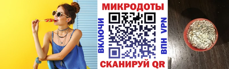 где можно купить Калининск Псилоцибиновые грибы Psilocybe